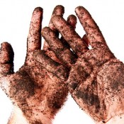 Your Facebook Wall – Dealing with the Dirt